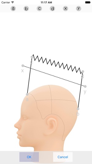 HAIR CUT DIAGRAM Light