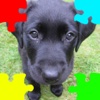 Puppies (Baby Dogs) Jigsaw Puzzles