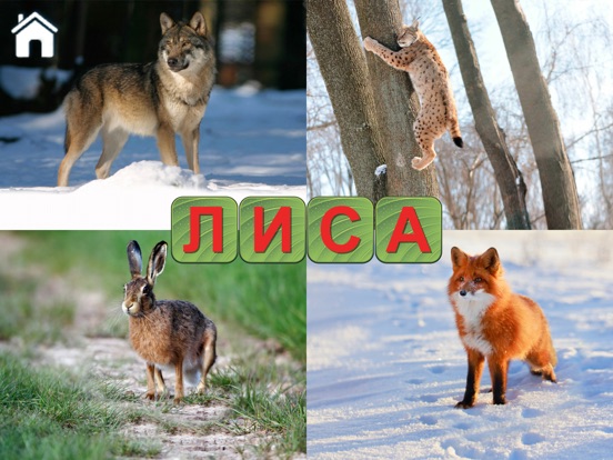 Скачать игру Учимся Читать, Спасаем Зверей!