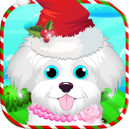 Christmas Pet Story: Vet and Salon Games Icon
