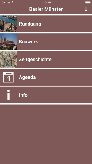 Basler Münster(圖1)-速報App