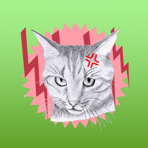 Takama my cat icon