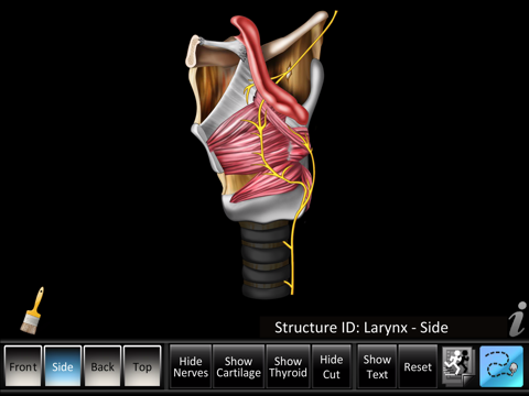 Larynx ID screenshot 3
