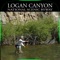 Welcome to Logan Canyon National Scenic Byway, a stunning 43-mile drive through limestone cliffs and forested canopies between Northern Utah's city of Logan and the stunningly beautiful Bear Lake