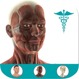 Anatomy Atlas: 3D Anatomical Model and Animation