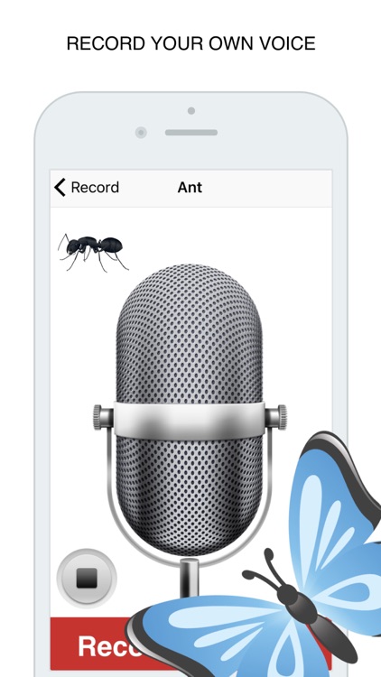 Insects Flashcard for babies and preschool Pro screenshot-4