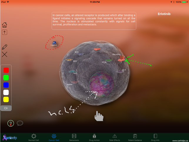 TKi Erlotinib(圖1)-速報App