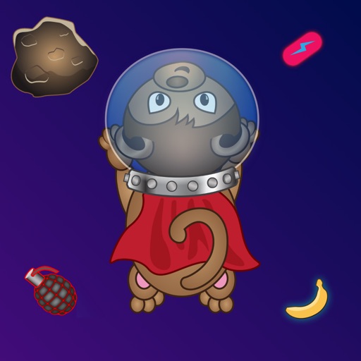 SpaceMonkey Icon