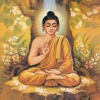 Buddha (The Enlightened One) - Amar Chitra Katha