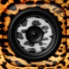 Animal Sounds Free Ringtone.s-Animal Funny Effects