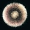 Find out what it’s like to command 20,000 different particles with only the tips of your fingers with this interactive entertainment app