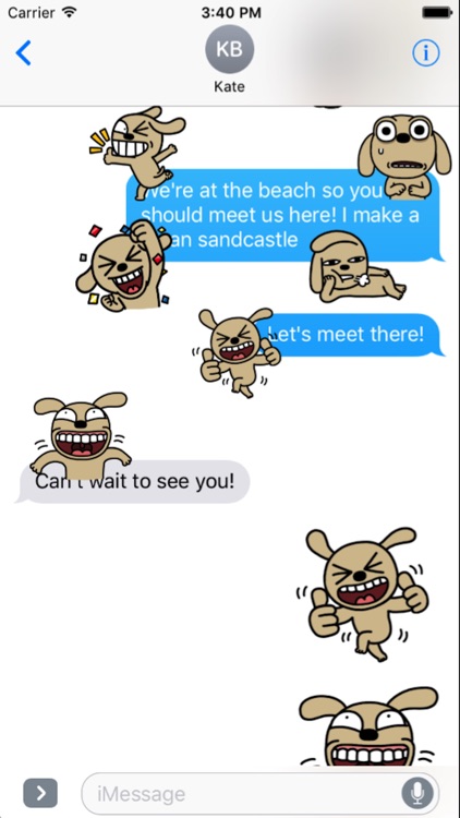 Chocolate Dog 2