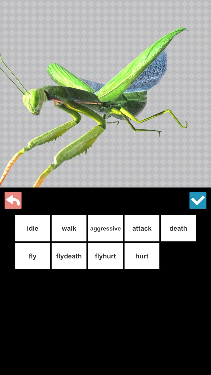 Insect 3D Reference
