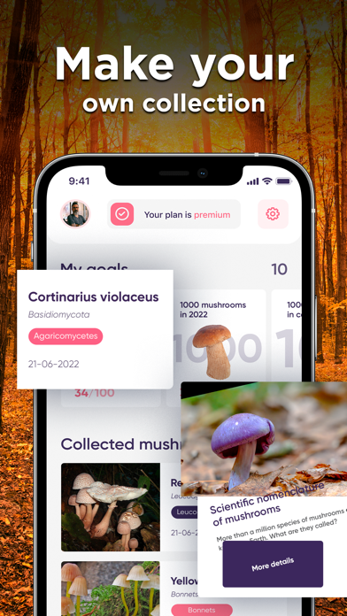 Mushroom ID: Fungus Identifier screenshot 3