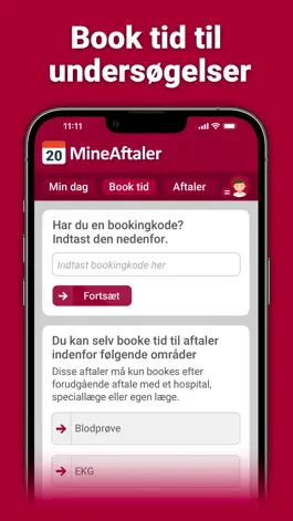 Game screenshot MineAftaler Region Midtjylland hack