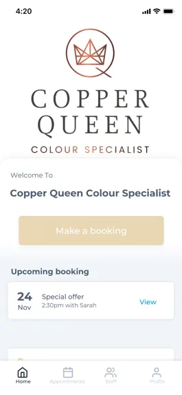 Game screenshot Copper Queen Colour Specialist mod apk