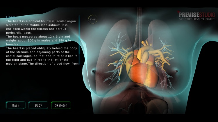 3D Human Anatomy Kids screenshot-6