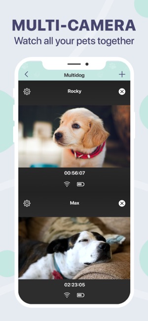 free dog camera app