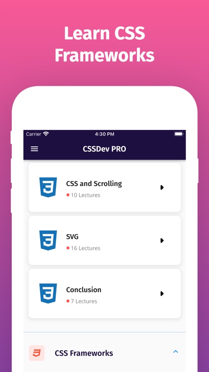 Learn CSS 3 Offline Now [PRO] screenshot-5