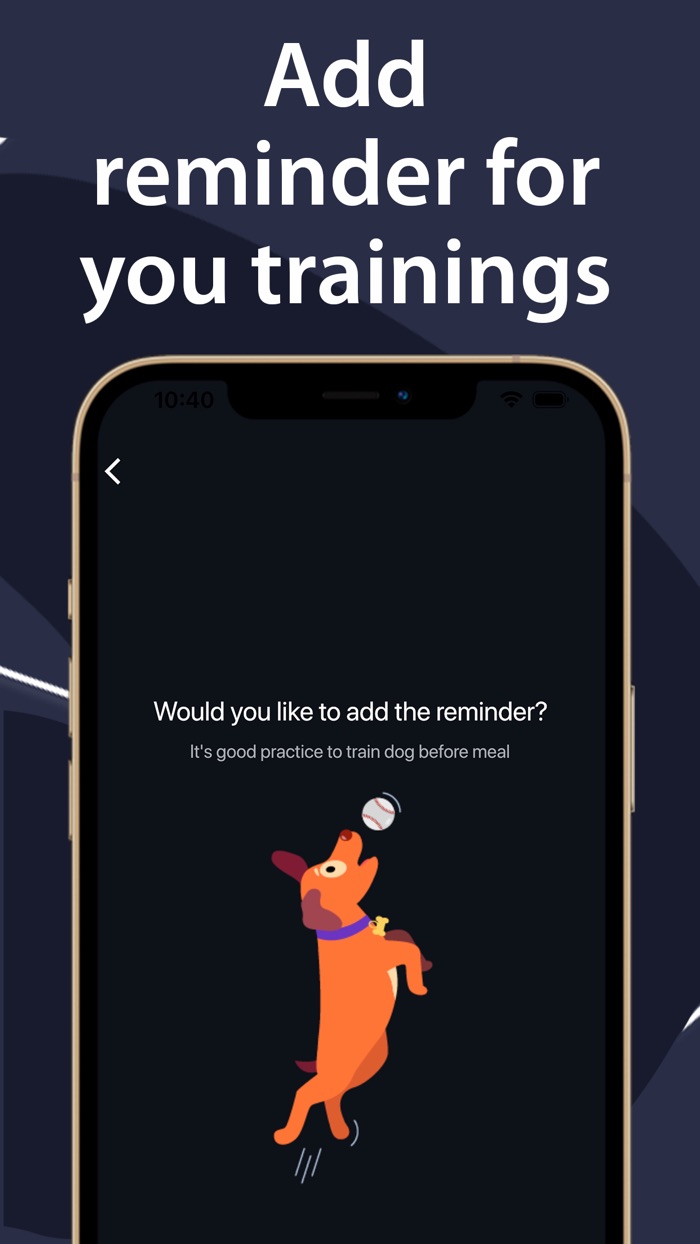 Dogger – Dog Training  Tricks