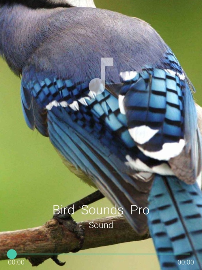 Bird Sounds Pro Plus