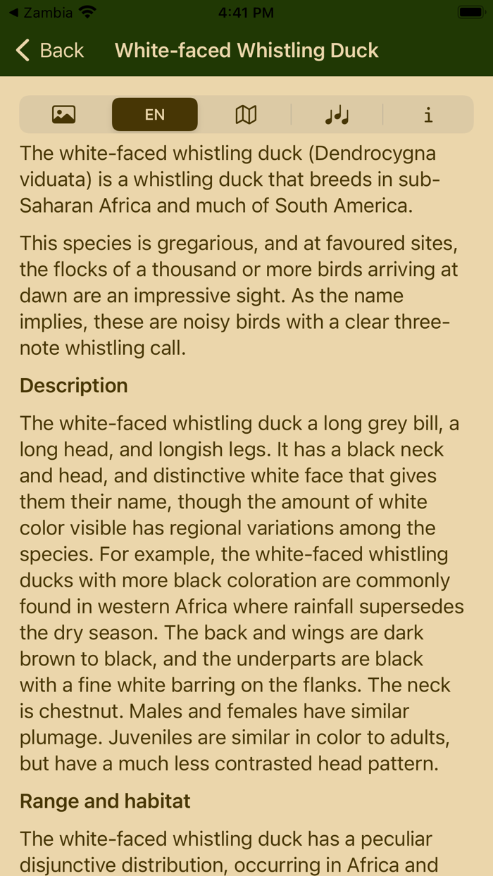 Birds of Namibia
