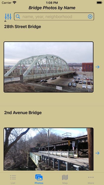 Pittsburgh City Bridges