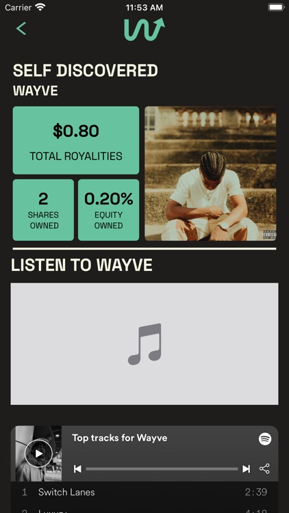 audiown screenshot-4