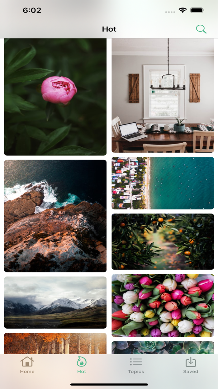 Gallery Fine Wallpaper