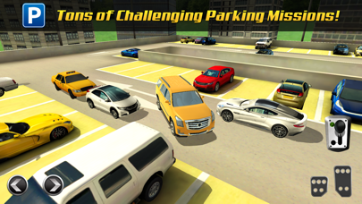 Multi Level Car Parking Game