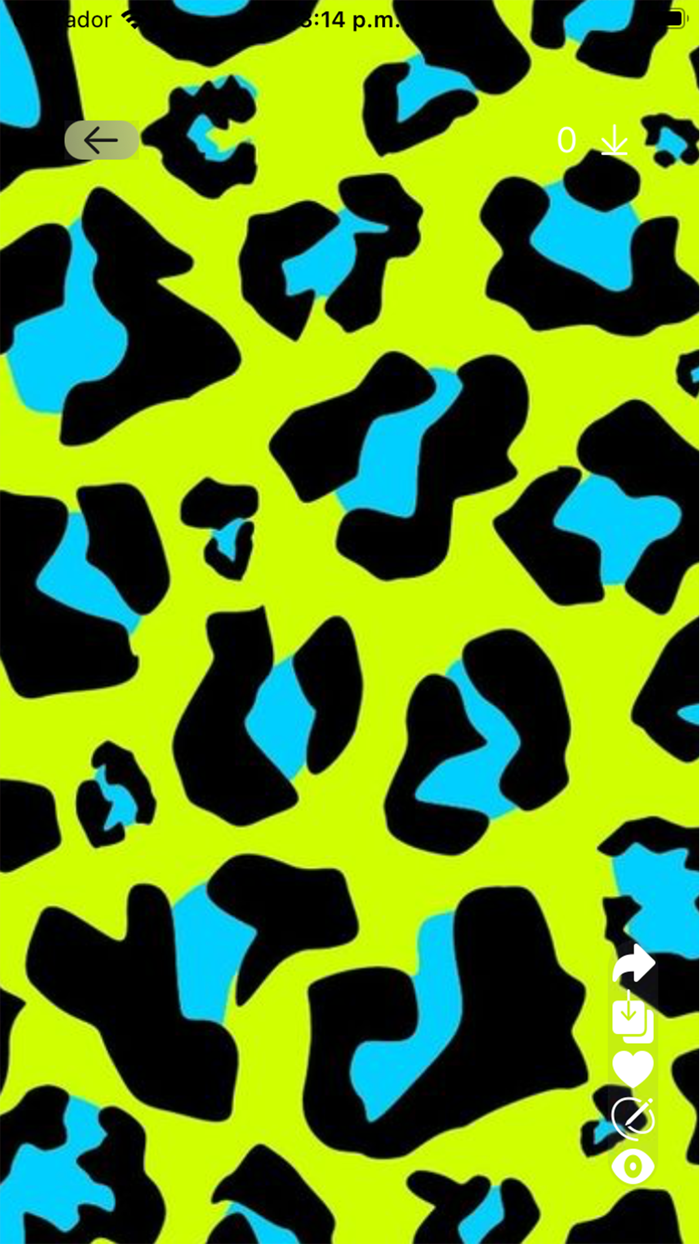 Cow print Wallpapers 4k