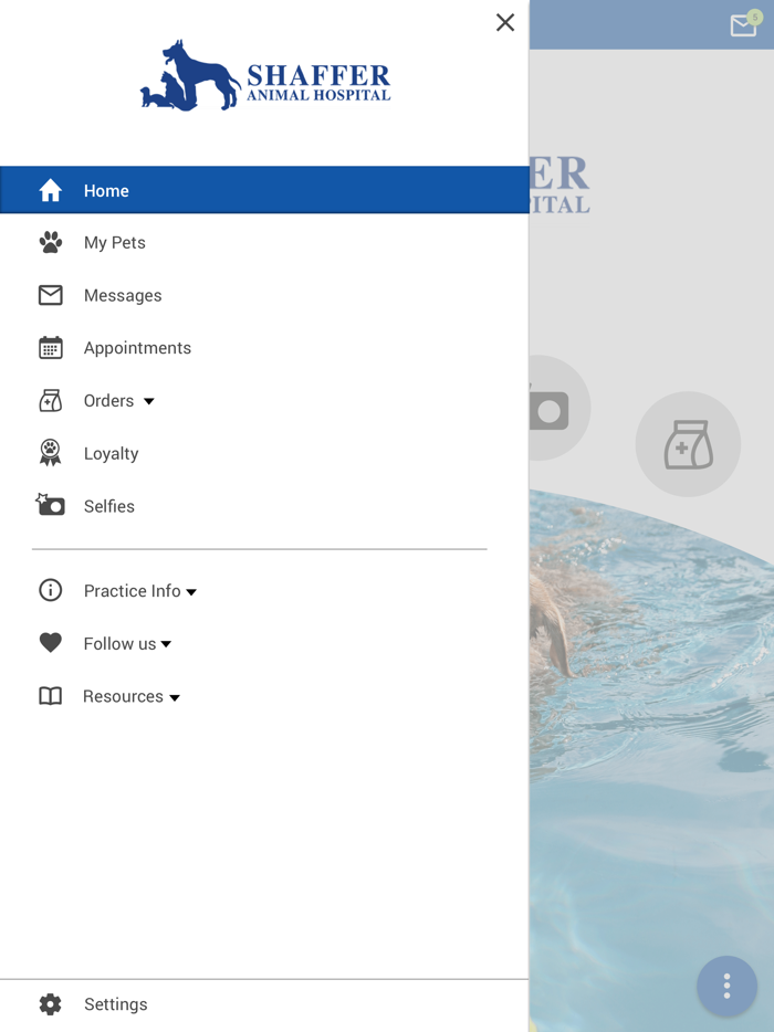 Shaffer Animal Hospital