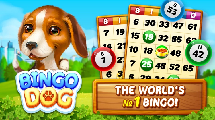 Bingo Dog - Fun Game 2022 screenshot-0