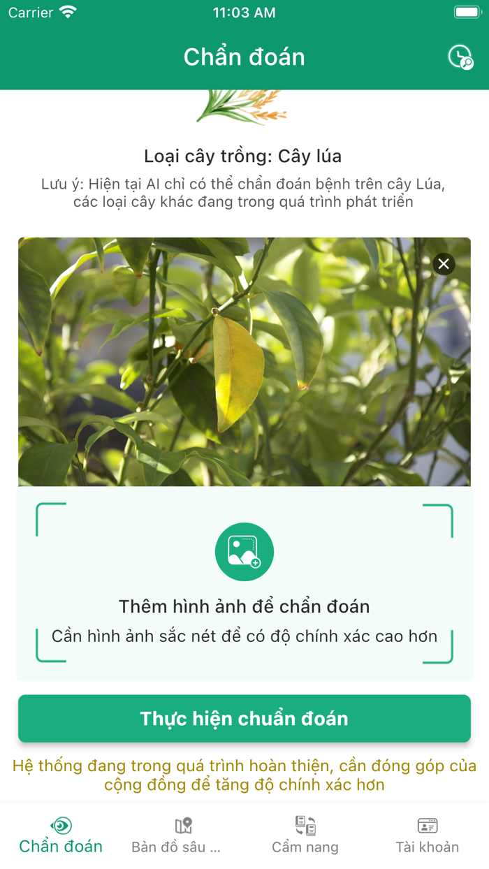 2Nông Chẩn đoán sâu bệnh