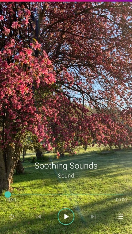 Soothing Sounds Pro Plus screenshot-3