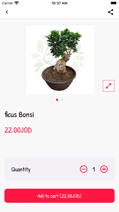 Al Youm - اليوم PC 용