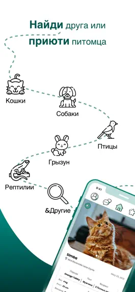 Game screenshot Pet Match - Найти Питомца mod apk