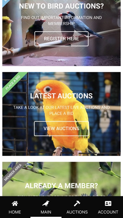 Bird Auctions