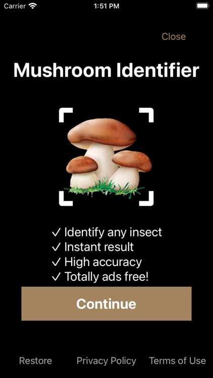 Mushroom Identifier: Fungus ID