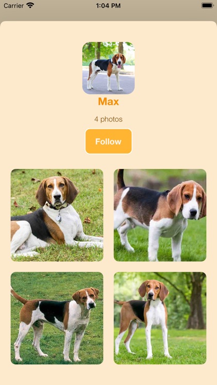 DogBreeds screenshot-6