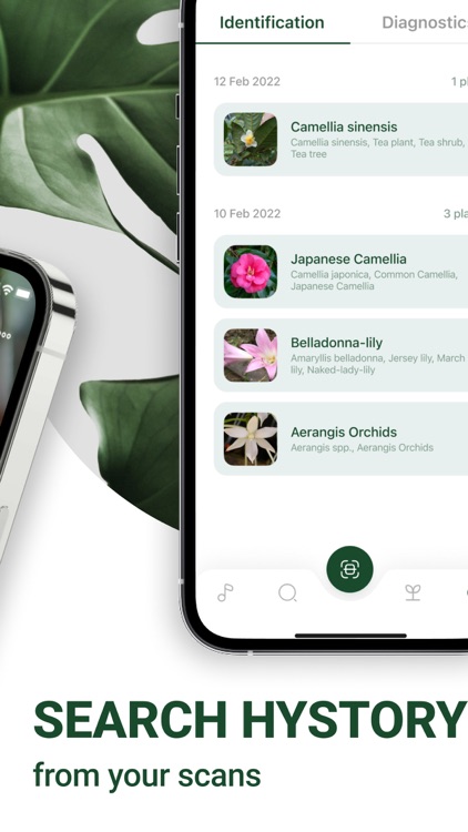 Plant Identification & Scanner screenshot-7