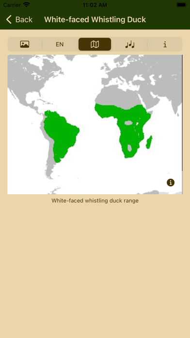 Birds of Botswana PC 용