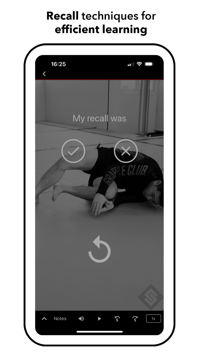 Systematic Jiu Jitsu