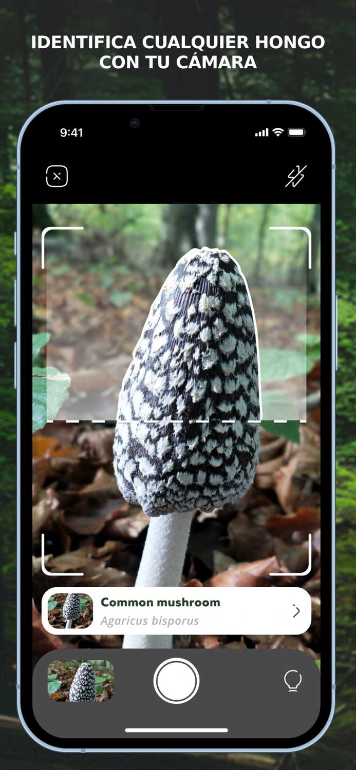 Mushroom Identification ID App