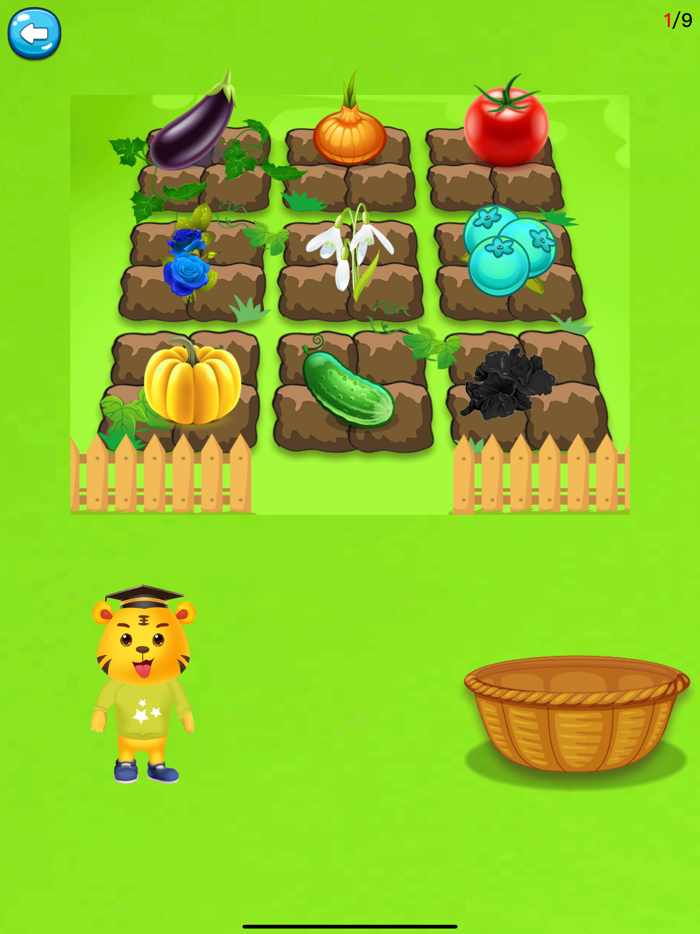 形状和颜色-认识颜色形状区分大小