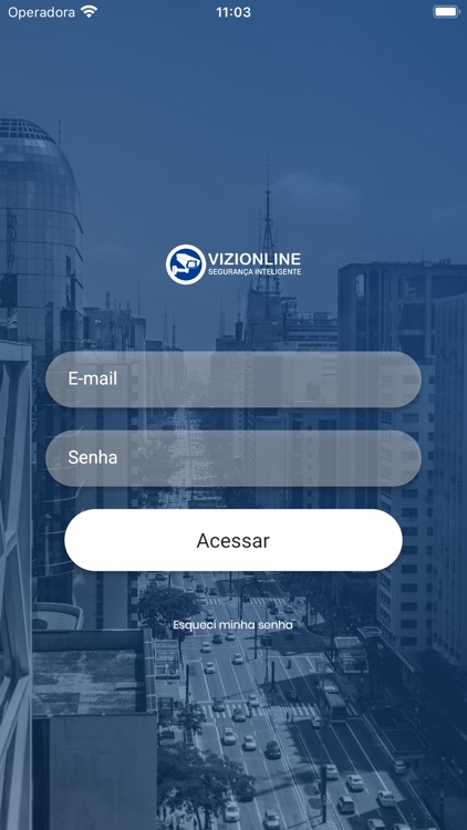 Vizionline