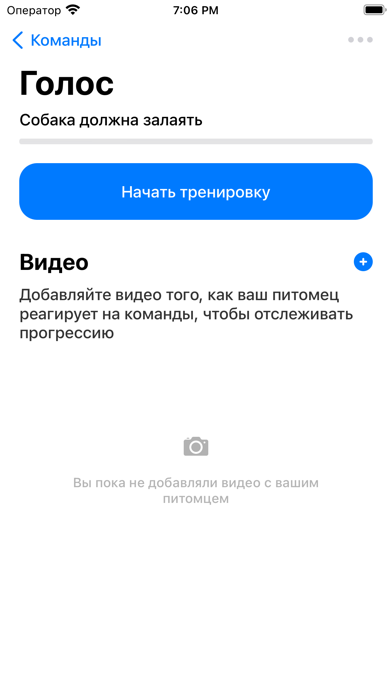 Bulka – дрессировка по плану PC 용
