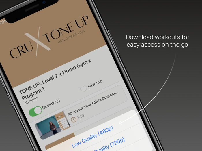 CRUx Custom Fitness Programs