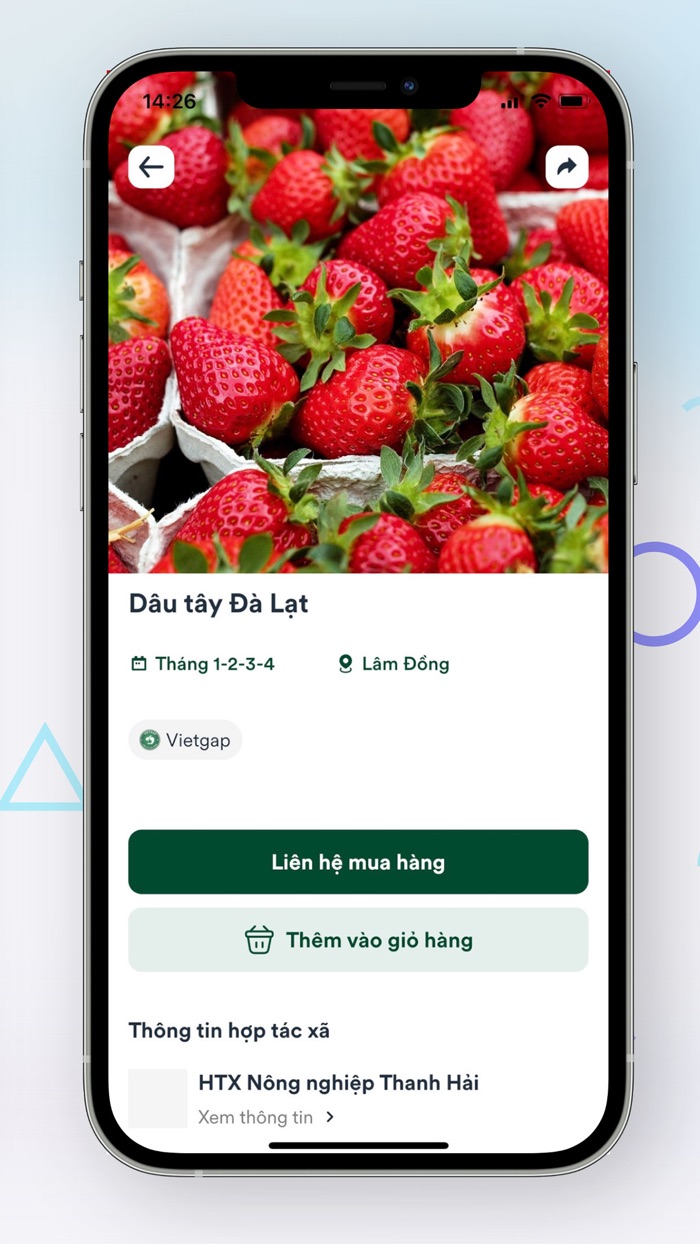 Bản Đồ Trái Cây Việt Nam