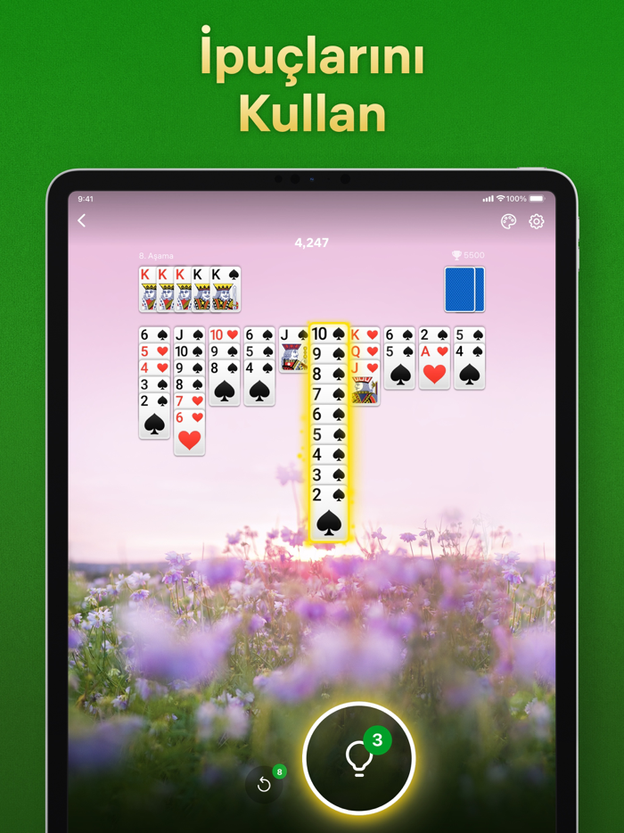 Spider Solitaire - Kağıt Oyunu